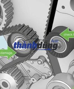 BẠC ĐẠN TỲ CAM DONGBEN X30 | FMT07111 - Ảnh 5