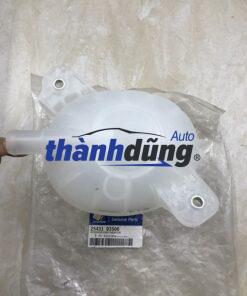 BÌNH NƯỚC PHỤ XE HYUNDAI TUCSON 2020 | 25431D3500