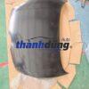 nắp capo ford fiesta 1.6 hatchback | dn2852310g